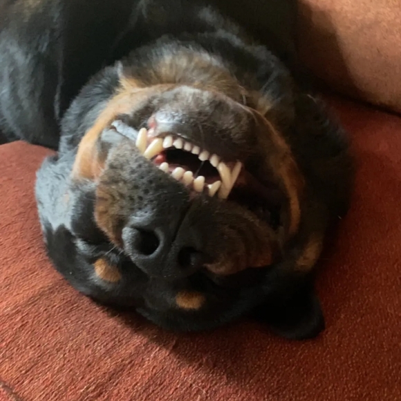 Profile Picture of Ava Graves (@avagraves8) on Poshmark