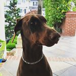 Profile Picture of Nicholas Earle Cleary (@nec_132) on Instagram