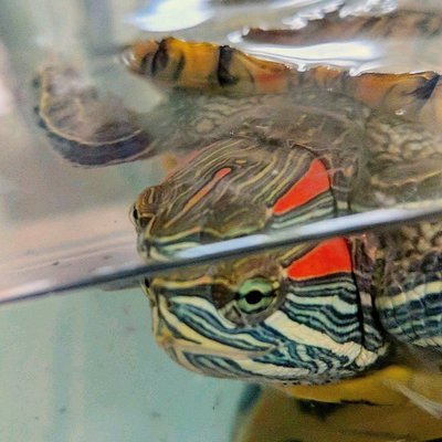 Profile Picture of Jay Beckett (@jaybehckett) on Twitter