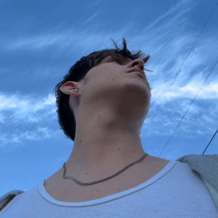 Profile Picture of Lucas 🌴♟️ (@lucas.dolan03) on Tiktok