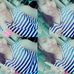 Profile Picture of Castañeda Kristine (tine) (@castaneda.kristine.31) on Facebook