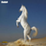 Profile Picture of AHMED KHATTAB (@ahmed khattab2012) on Flickr