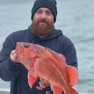 Profile Picture of Jason Sapienza (@sapienza.jason) on Instagram