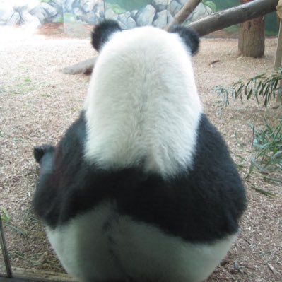 Profile Picture of Jenn (@jennifer_chow21) on Twitter
