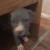 Profile Picture of Zachery Cusimano (@zachery.cusimano.3) on Facebook