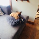 Profile Picture of Sparkle_Turner1 (@sparkle_turner1) on Instagram