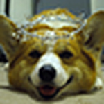 Profile Picture of Laura Loo! (@laura loo!) on Flickr