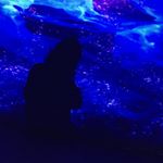 Profile Picture of odishelidze tiko (@odishelidze_tiko) on Instagram