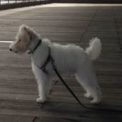 Profile Picture of Luke Fei (@lukefei2014) on Myspace