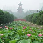 Profile Picture of Xiaohui Sun (@xiaohui6032) on Instagram