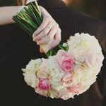 Profile Picture of Amber Gillespie (@amber_nicollette_weddings) on Instagram