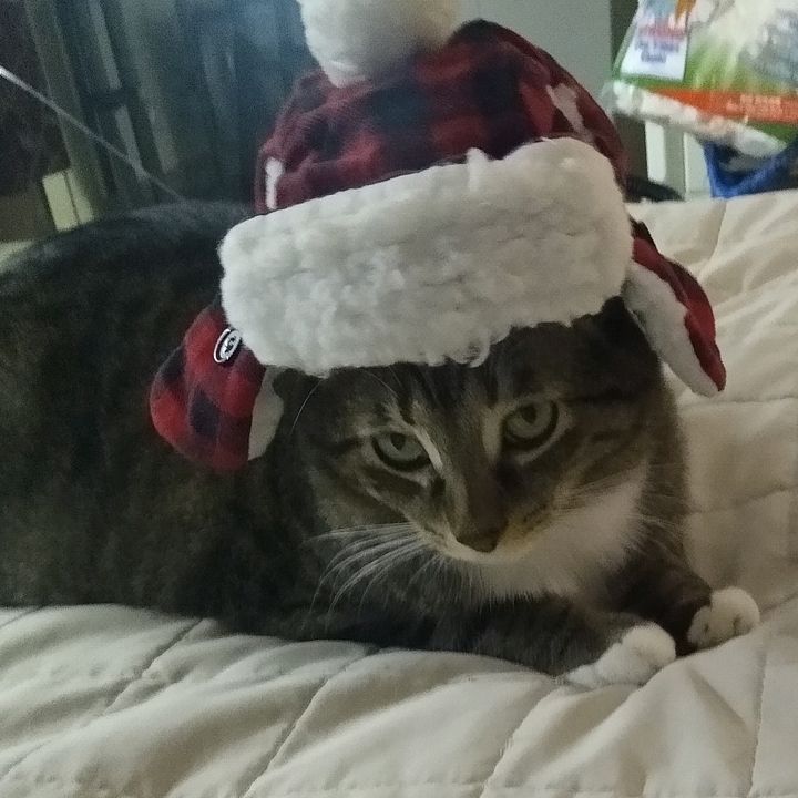 Profile Picture of LaRee Bennett (@lareebennett) on Tiktok