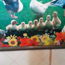 Profile Picture of Juan Benigno González (@JuanBenignoGon2) on Twitter