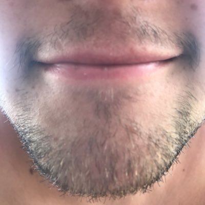 Profile Picture of Nate W's Beard (@NateWsBeard) on Twitter