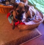 Profile Picture of Debra Oxner (@debra.oxner.3) on Facebook