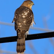 Profile Picture of James Bowersock (@jamesbowersock302) on Youtube