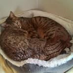 Profile Picture of Jesse Dammann (@Jesse-Dammann) on Facebook