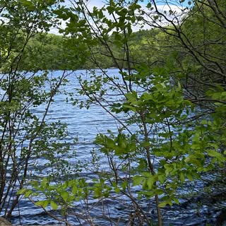 Profile Picture of Bonnie Shah Dalal 🦋 (@b_shah) on Instagram