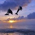 Profile Picture of Bernice Collins (@bernice.collins.75) on Instagram