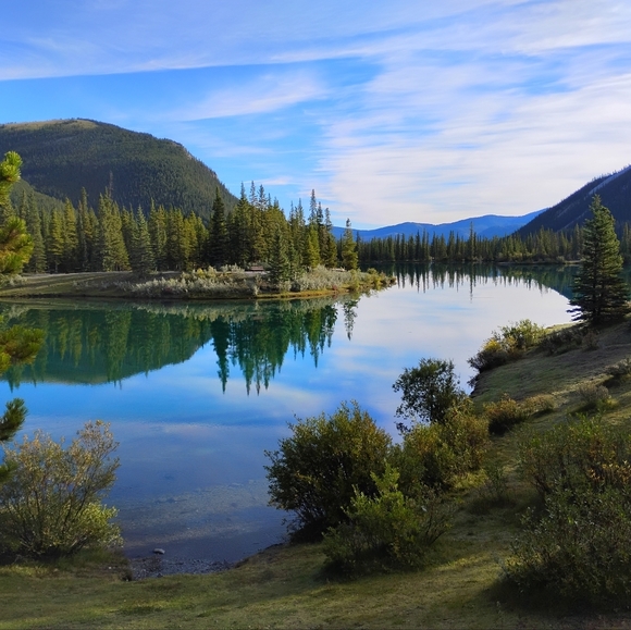 Profile Picture of Jamie Bilous (@james_boisse) on Poshmark