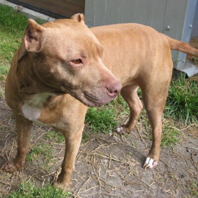 Profile Picture of Dustin Hurt (@DirtyDH) on Twitter