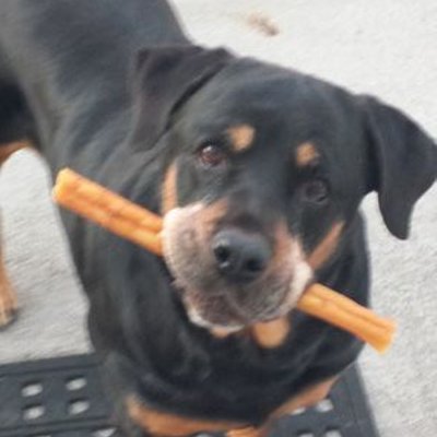 Profile Picture of Mauro Cieri (@Mauro08036) on Twitter