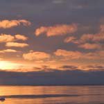 Profile Picture of Peter_Lancaster (@peter_lancasterx) on Instagram