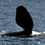 Profile Picture of Scott Fry (@scottf2011) on Flickr
