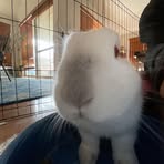 Profile Picture of Logan Johansson (@logan.johansson.2025) on Facebook