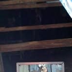 Profile Picture of John Depaz (@John-Depaz) on Facebook