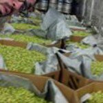 Profile Picture of Nicolas Rivas (@ridiculous_nicolas85) on Instagram