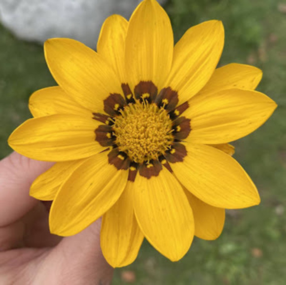 Profile Picture of Mz Shanti (@mzshanti) on Poshmark