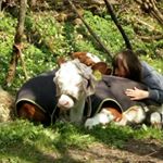 Profile Picture of les chevaux ma vie (@josephine.vezzaro) on Instagram