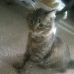 Profile Picture of Jeffrey Latshaw (@Jeffrey-Latshaw) on Facebook