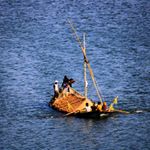 Profile Picture of 👑MD ADNAN FAROOQUI👑 (@md_adnan_farooqui_786) on Instagram