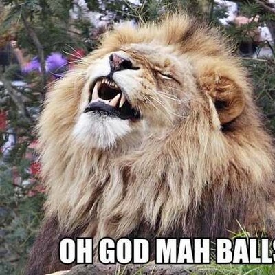 Profile Picture of Josh Ashford (@Wodasher) on Twitter