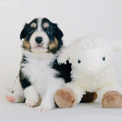 Profile Picture of James A. Ristow (@JamesARistow) on Twitter