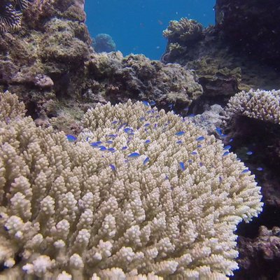 Josh Gierman - Twitter Profile Picture of Josh Gierman (@gierman_josh) on Twitter