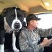 Profile Picture of Brian Winters (@wbrianokwinters) on Pinterest