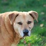 Profile Picture of Jeanine Hughes (@j9h_1) on Instagram