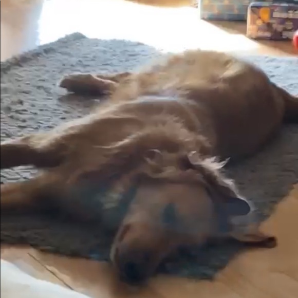 Profile Picture of Emma Luzadder (@emmagraceluz) on Poshmark