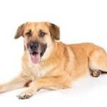 Profile Picture of Michael Manning (@michael.manning_) on Instagram