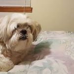 Paul Rosenberger - Instagram Profile Picture of Paul Rosenberger (@pmmjje) on Instagram