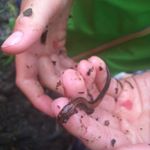 Profile Picture of Rylan Matthew Cotton (@rmcot523) on Instagram