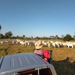 Profile Picture of Ana Olmedo (@olmedo7950) on Instagram