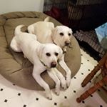 Profile Picture of Mme.Killips (@mme.killips) on Instagram