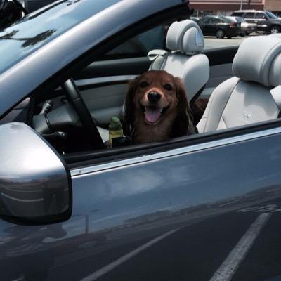 Profile Picture of Amie Weiler (@WeilerAmie) on Twitter