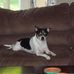 Profile Picture of Joann Wampler (@joann.wampler.1) on Facebook