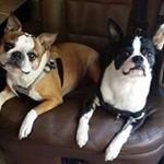 Profile Picture of Shirley Putnam Perry (@sperry60) on Instagram