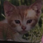 Profile Picture of Eric Lazo (@33.5607) on Instagram